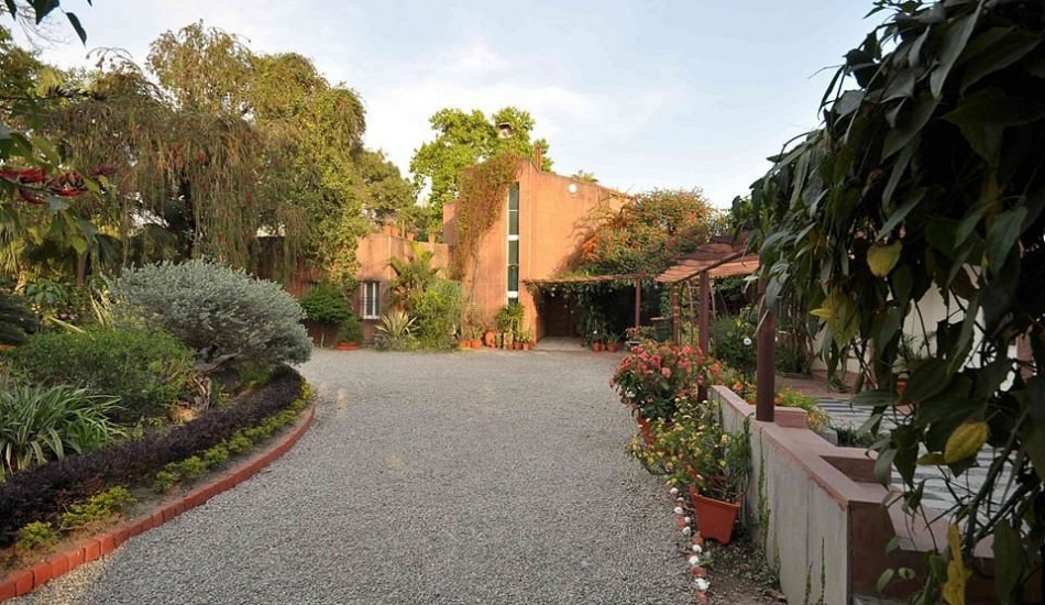 TREE OF LIFE  HOMESTEAD CORBETT COUNTRY